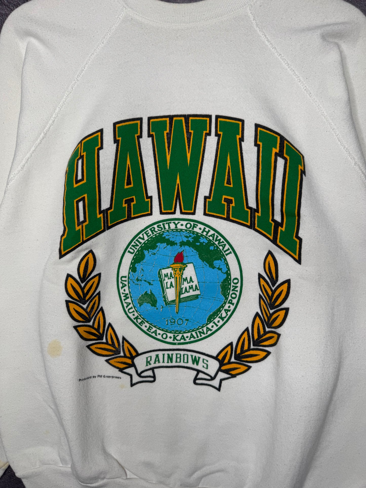 90s University of Hawaii Rainbows Sweatshirt M