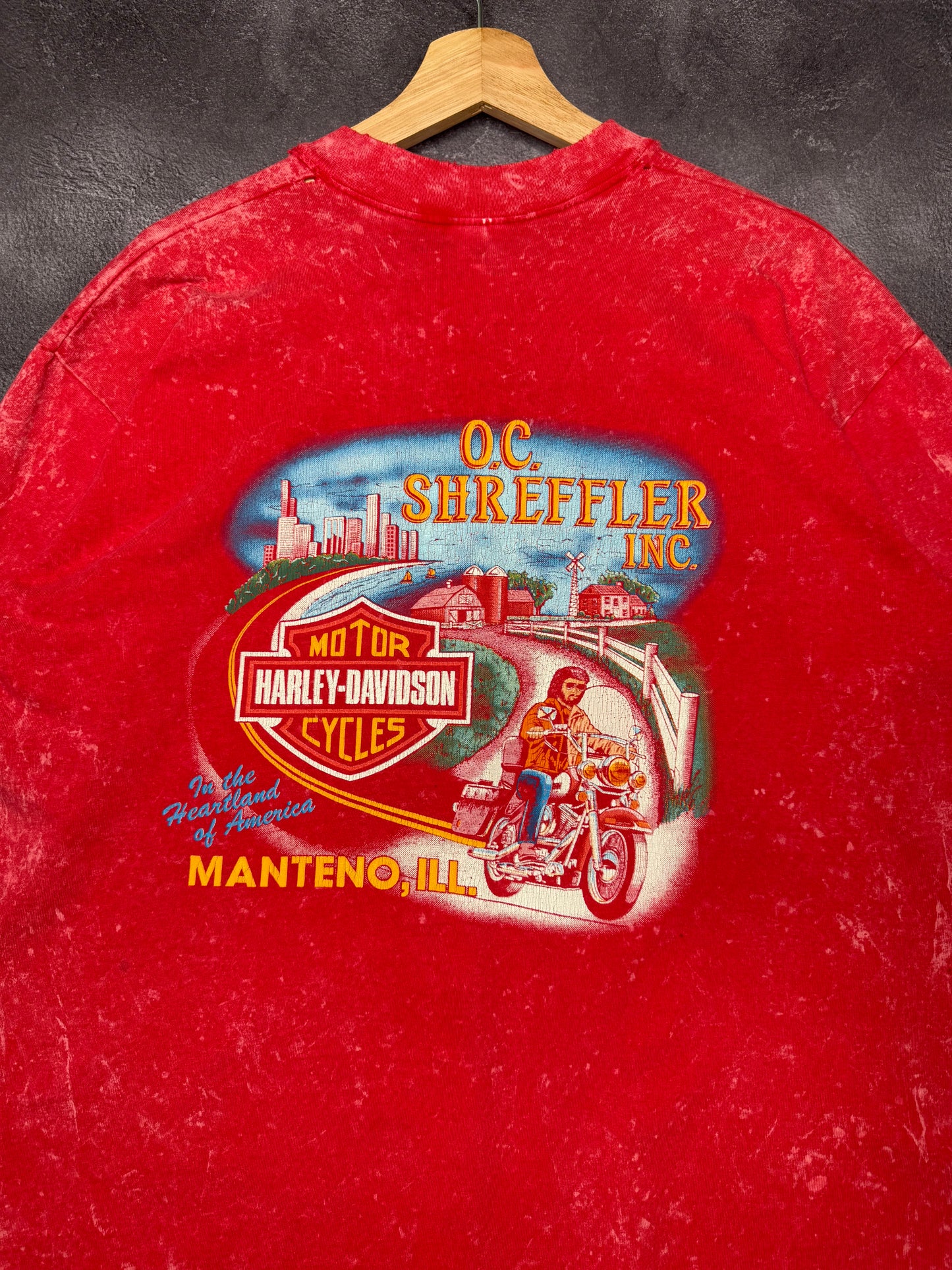 Camiseta Harley Davidson de Illinois desgastada de 1988 "It's Buddy Time All the Time"