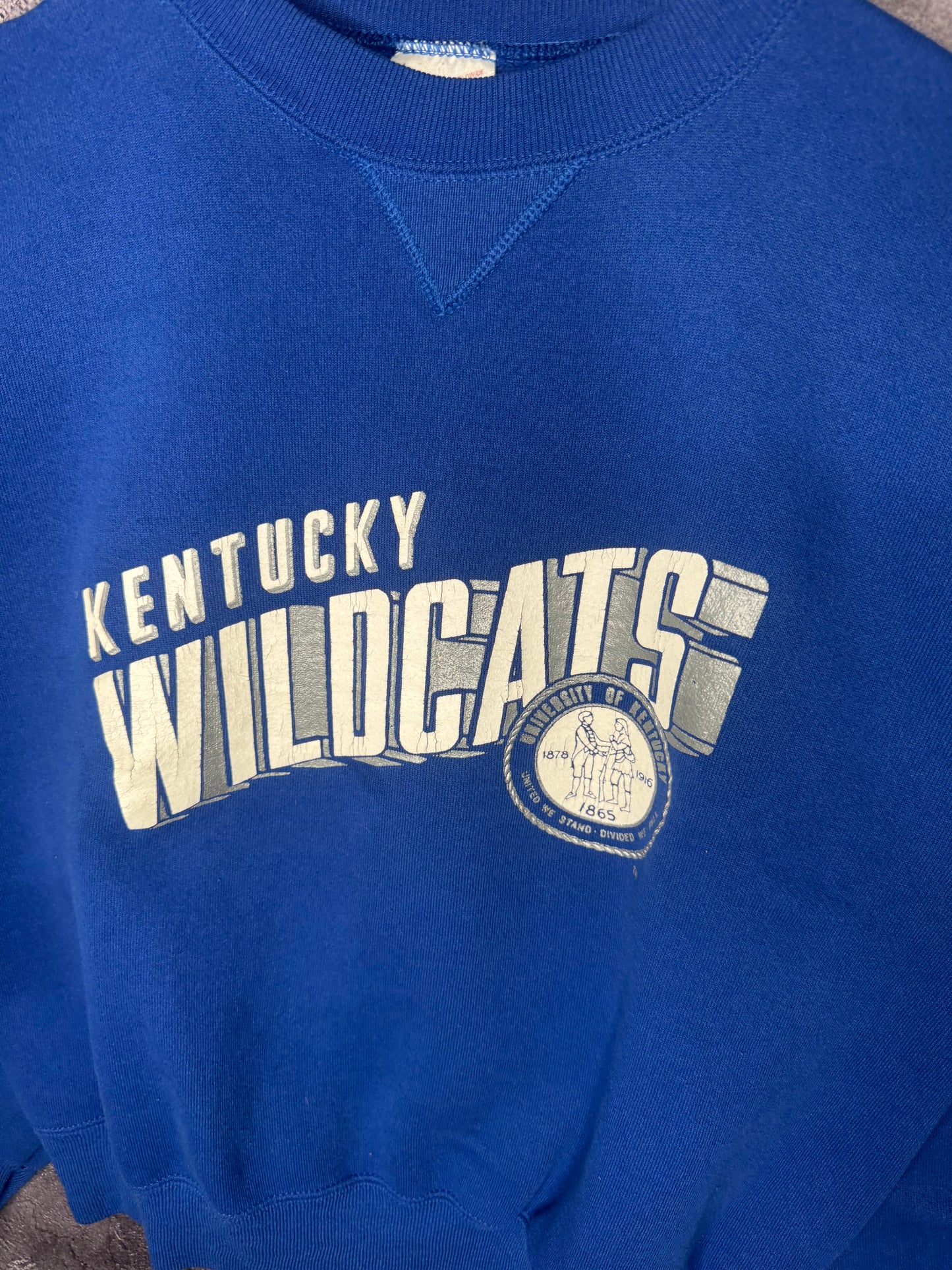 90s University of Kentucky Wildcats Bike Sweatshirt M