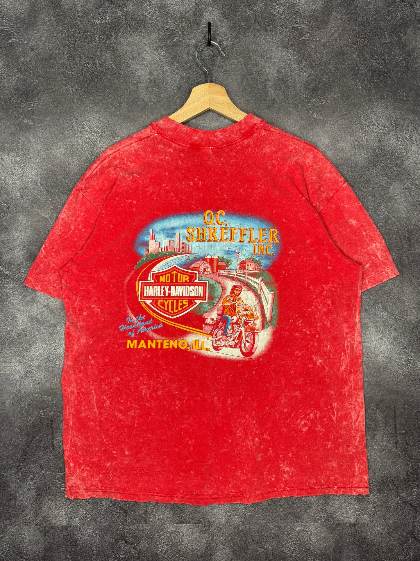 Camiseta Harley Davidson de Illinois desgastada de 1988 "It's Buddy Time All the Time"