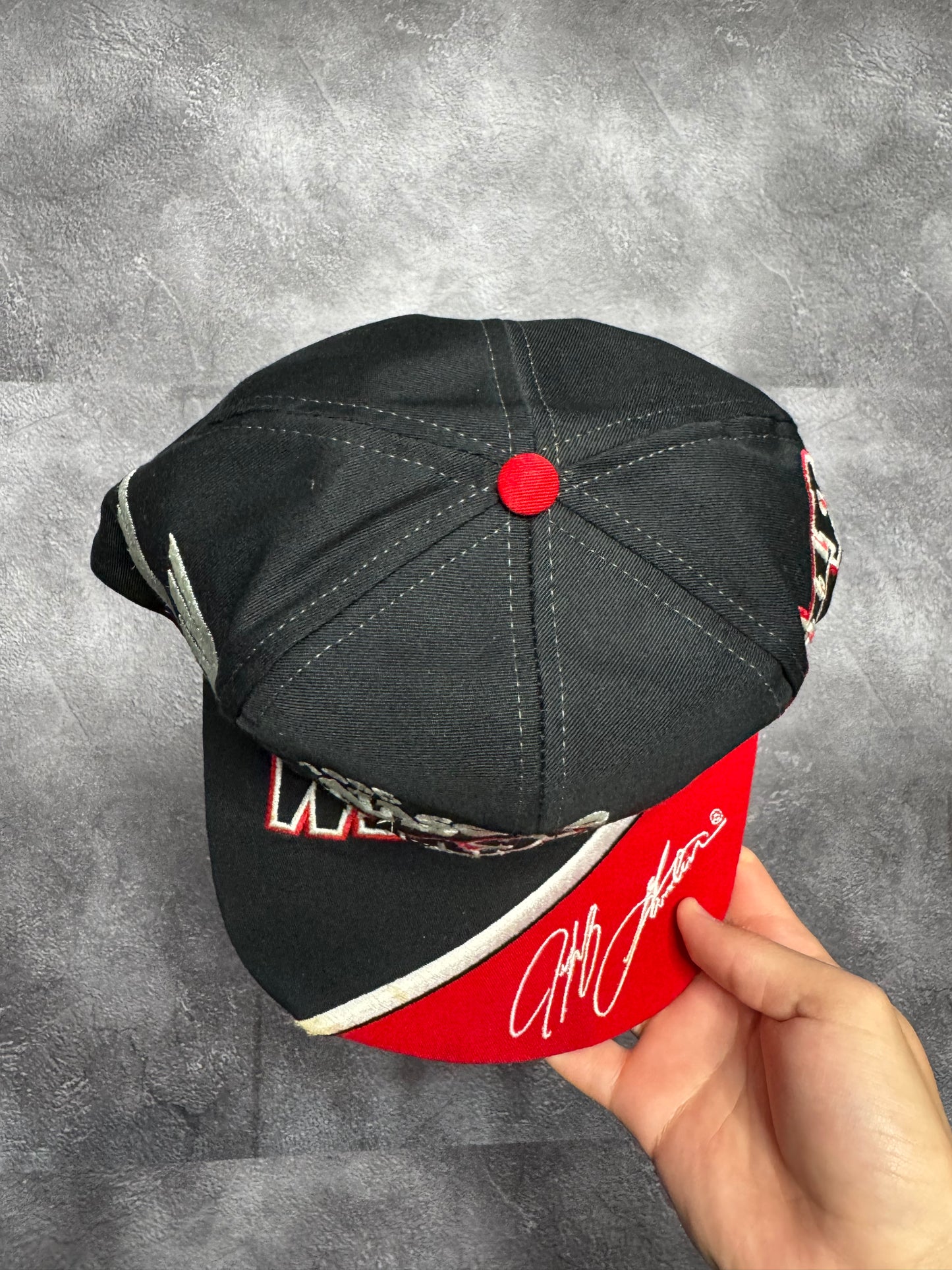 1995 Winston Cup Nascar Champion Snapback Hat