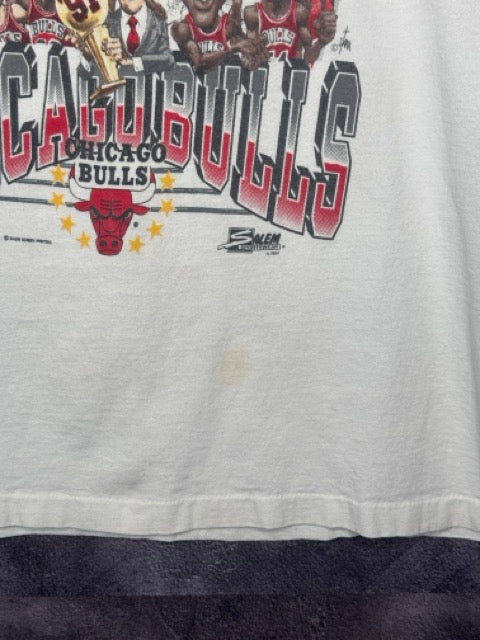 1991 Chicago Bulls NBA World Champions Caricature Tee