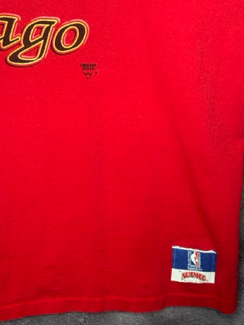 90s Chicago Bulls Nutmeg Big Bull Tee XL