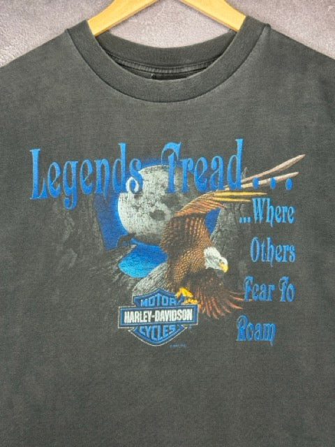 2001 Harley Davidson Legends Trend Where Others Fear to Roam Sills Tee