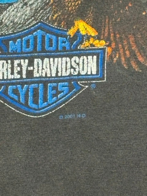 2001 Harley Davidson Legends Trend Where Others Fear to Roam Sills Tee